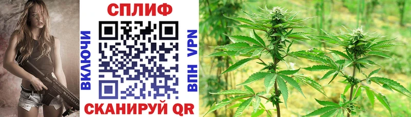 Бошки марихуана Amnesia  omg ONION  Камызяк  где купить наркотик 